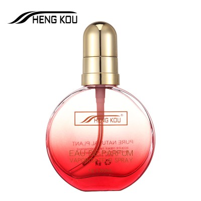 OEM Hair Treatment Essence Care Oil with Nice Packaging